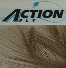 ACTION FLY GALLOPARDO